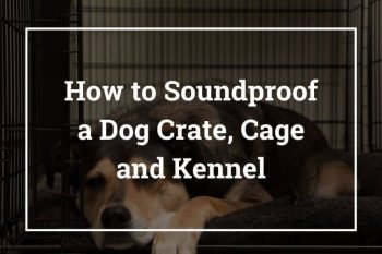 How to Soundproof Dog Crate/Cage and Kennel – Best Ways