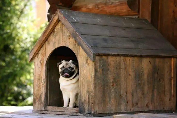 10 Best Noisy Neighbors Revenge Ideas (Harmless) and Also How to Get Them to Quiet 10 Best Noisy Neighbors Revenge Ideas and Also How to Get Them to Quiet_Get Soundproofing
