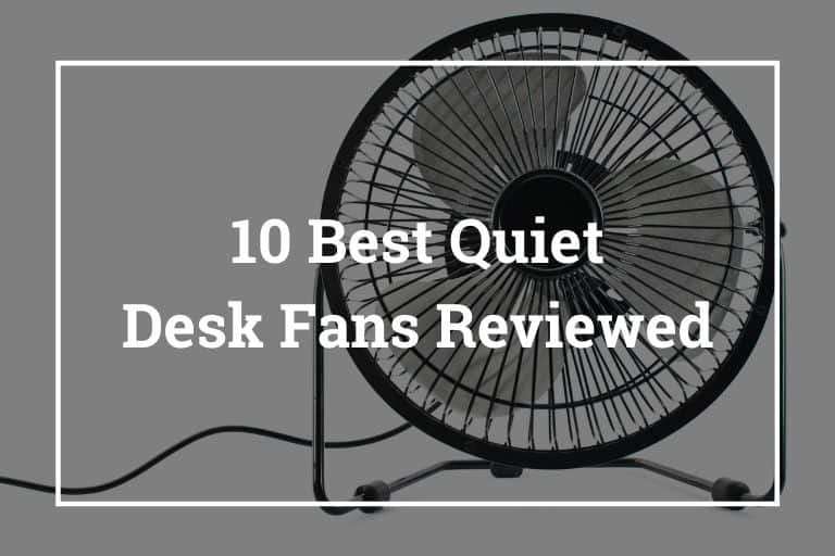 Best Quiet Desk Fan Reviewed (Updated October 2023)