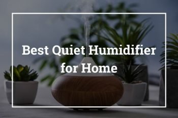 Best Quiet Humidifier for Home