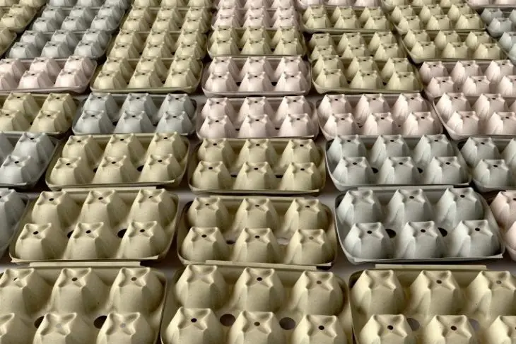 Does Egg Carton Soundproofing Work? Does Egg Carton Soundproofing Work_Get Soundproofing