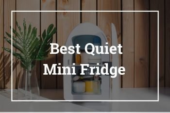 Best Quiet Mini Fridge