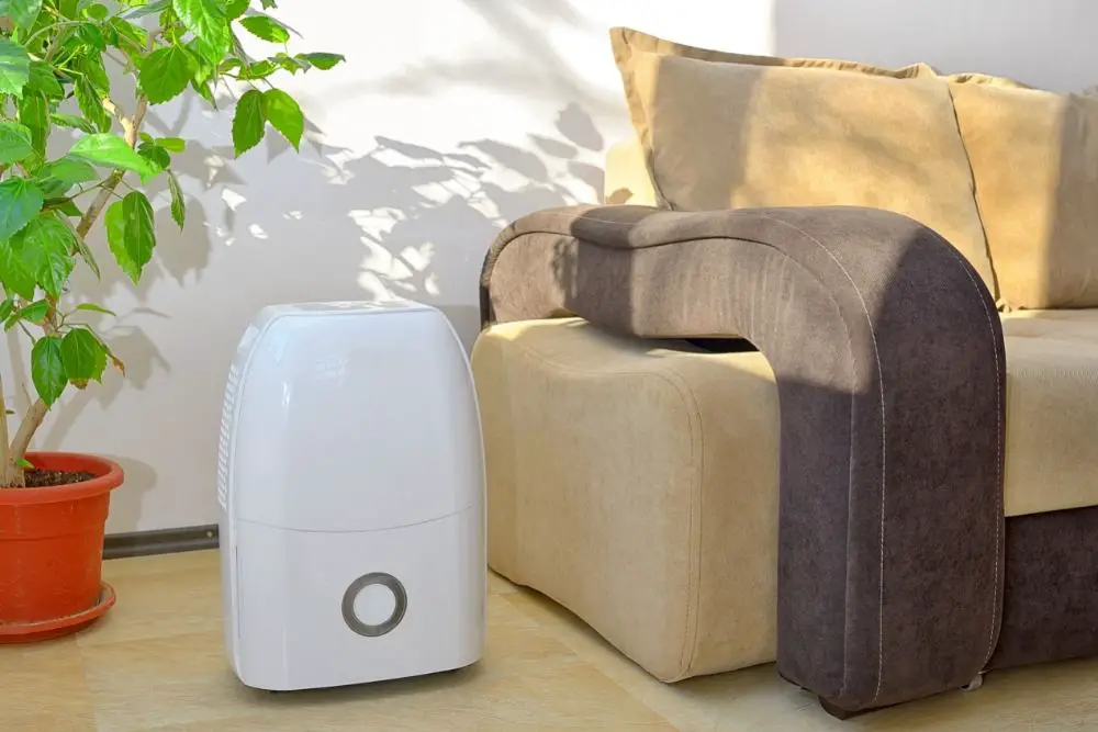 Best Quiet Dehumidifier Best Quiet Dehumidifier